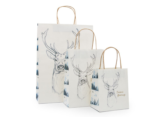 Good price Płaskie dno Fancy Christmas Zawijanie worek papierowy Uchwyt Ribggrain w Internecie